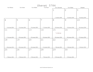 Shevat 5784 Calendar with Gregorian equivalents 